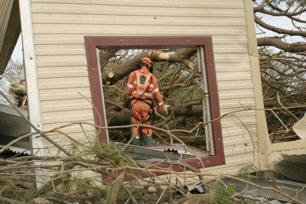 Best Stump Grinding and Removal  in USA